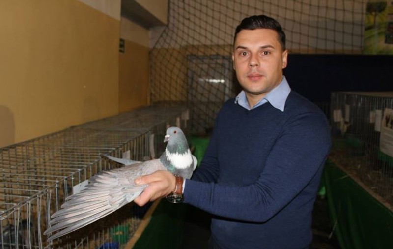 Un subofițer MapN crește o rasă unică de porumbei în România