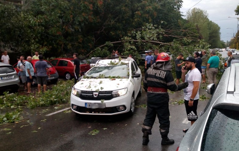 Furtună violentă în Constanța. Copaci smulși din rădăcină au căzut peste cablurile electrice și mașini