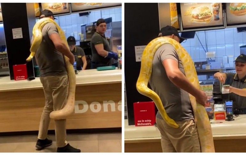 Imagini cu un bărbat care s-a dus la un fast-food din Tg. Mureș cu un piton uriaș înfășurat în jurul gâtului. Reacția poliției