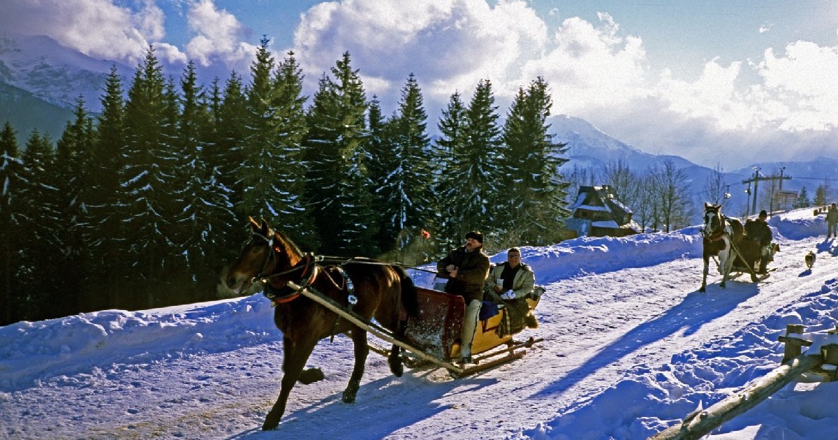 Sănii trase de cai, pe zăpadă, în Zakopane, Polonia