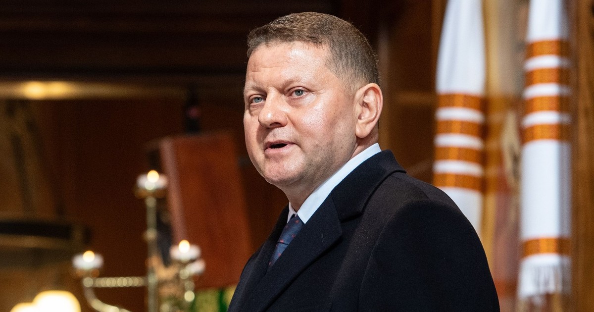 Ambasadorul Ucrainei în Marea Britanie, generalul Valerii Zalujnîi Foto: Profimedia