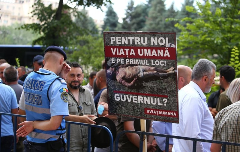 Protest la Ministerul Mediului față de urși