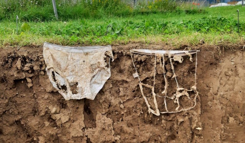 Cu cât organismele din sol sunt mai active, cu atât mai repede se descompune materialul de bumbac. Sursă foto: Gabriela Brandle / Agroscope