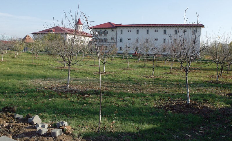 Arhiva foto