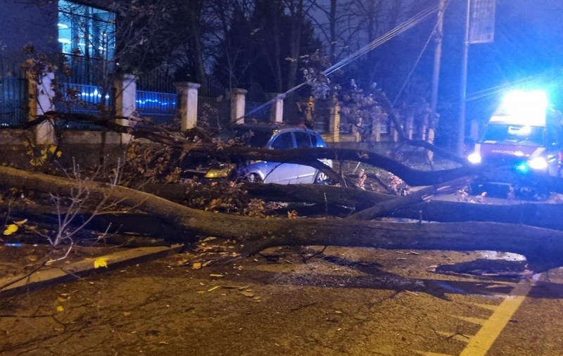 Un bărbat a fost prins sub un copac care a căzut în apropierea sediului Jandarmeriei Române