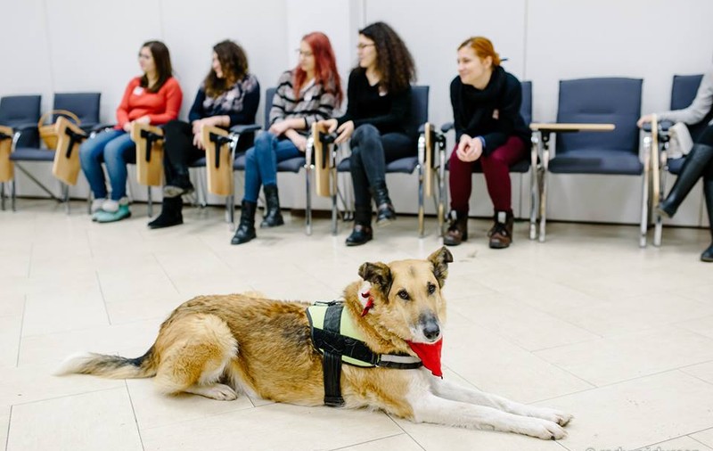 Ce fac studenții din Cluj ca să ia note mari la examene. Se întâmplă în fiecare săptămână