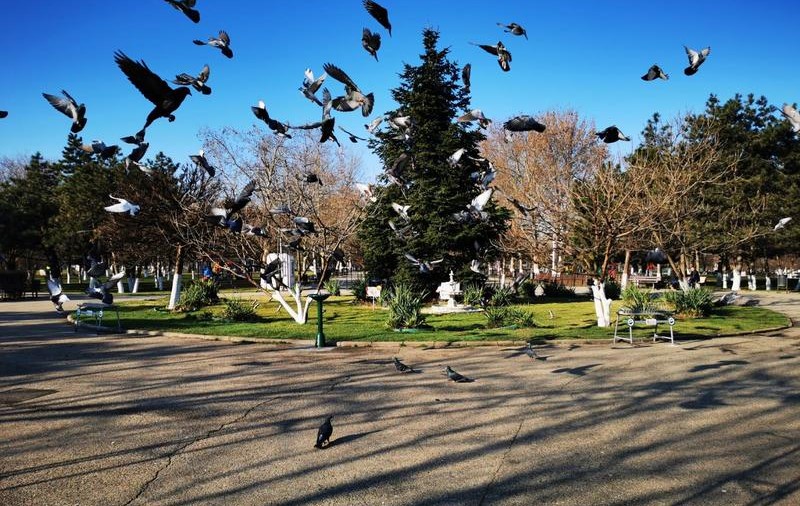 1,5 milioane de lei de la Primăria Sectorului 6 pentru întreținerea Parcului Crângași timp de 8 luni, în mandatul lui Mutu