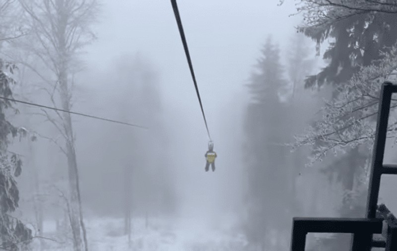 Un turist a ajuns în stare gravă la spital, după ce s-a izbit de un copac în timp ce se dădea cu tiroliana, la Gura Humorului