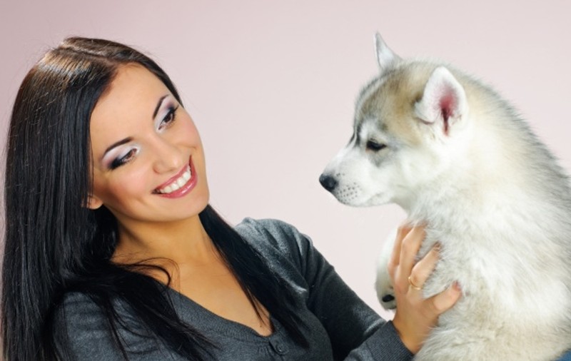 Ce boli putem lua de la animalele de companie