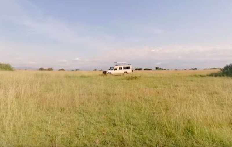 Un turist american și un șofer au fost răpiți dintr-un parc safari. Răpitorii cer răscumpărare