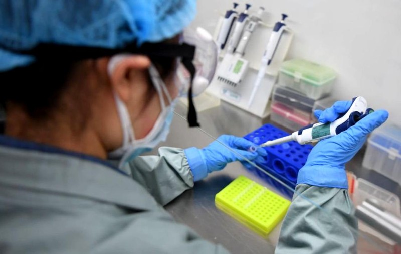 OMS a dat asigurări că noul coronavirus este de origine animală şi nu e creat în laborator