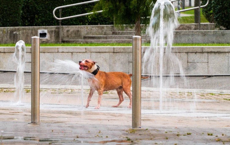 Europa se usucă: record total de 46,6°C în Portugalia. Marți va fi și mai cald în unele țări