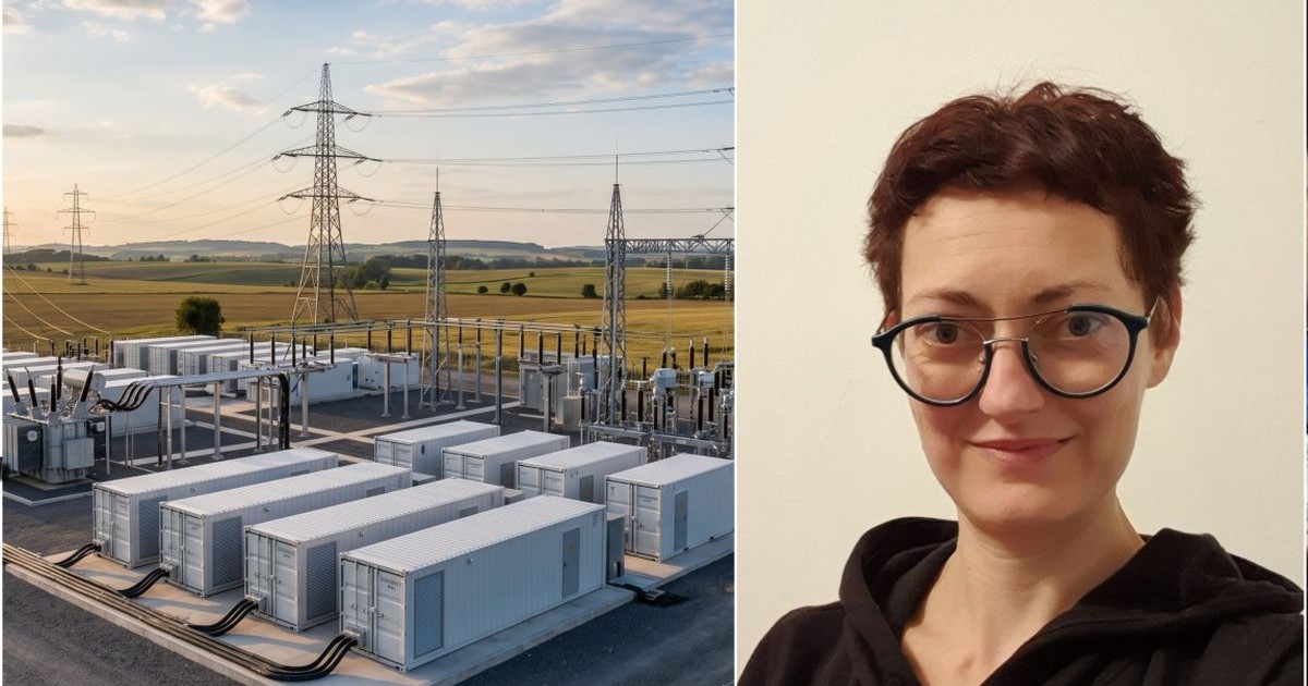 În stânga, sunt baterii de stocare a energiei și rețele electrice, iar în dreapta este Otilia Nuțu, expert în politici de energie