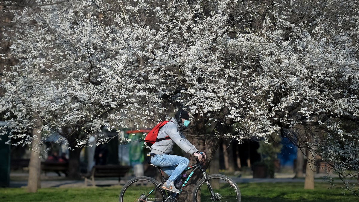 Arhiva foto