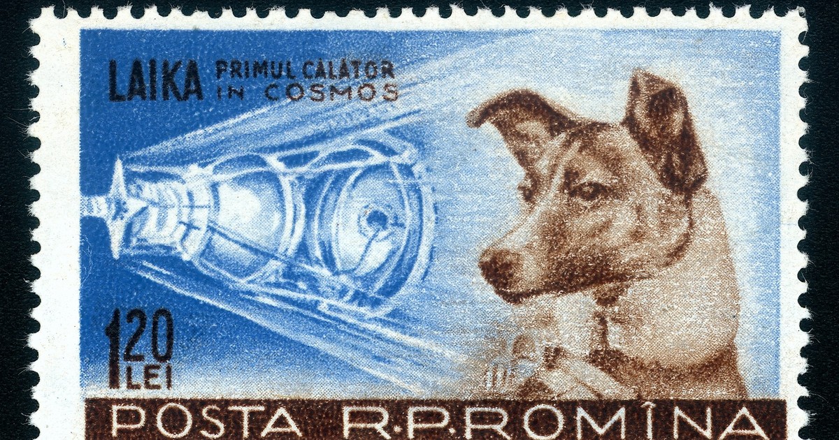 Timbru cu cățelușa Laika.