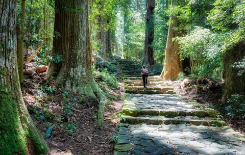 Poteca pietruită care străbate pădurea de cedri seculari, parte a traseului de pelerinaj Kumano Kodo – Nakahechi Daimon-saka din Japonia