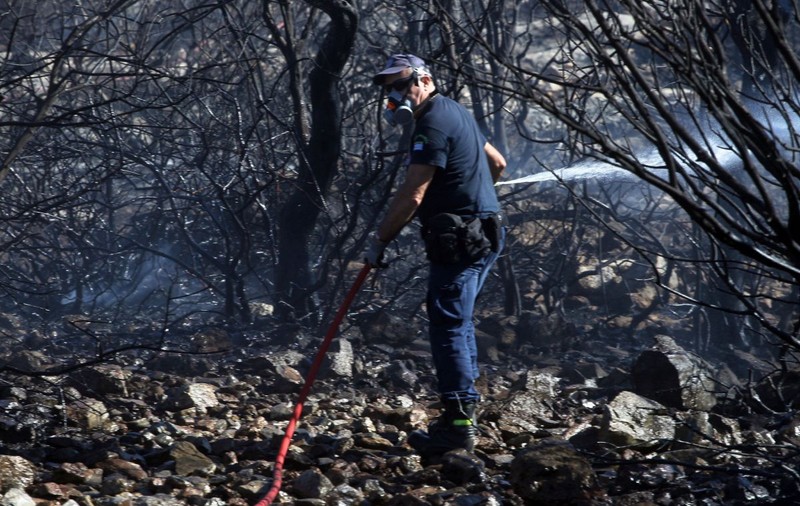 Nu mai există incendii de vegetație active în zona Atenei, anunță pompierii