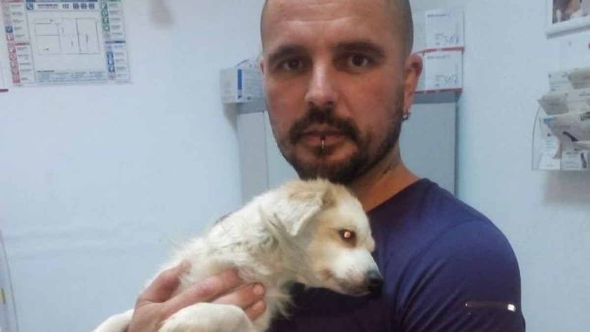 Povestea românului înconjurat de câini și cu o pisică pe umăr, în parc