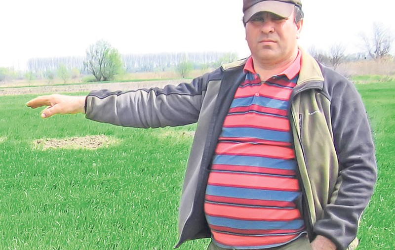 ALERTĂ! Zeci de mii de oameni sunt în pericol de îmbolnăvire | Plouă cu păsări moarte în Delta Dunării!