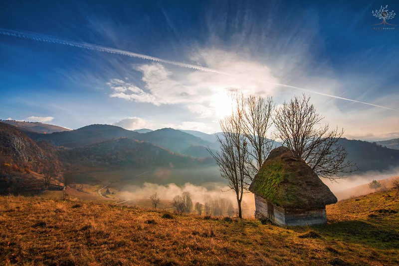 Arhiva foto