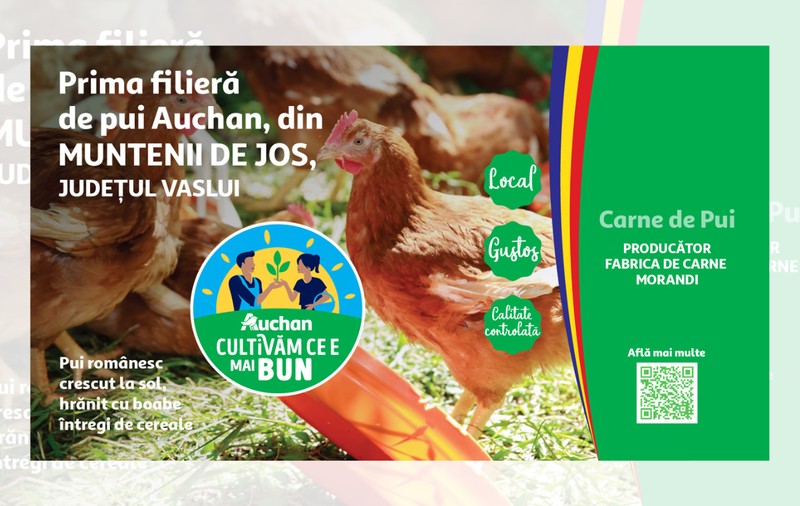 Gustul natural al puiului de acasă. Povestea fermierilor care aduc puiul de calitate în Auchan