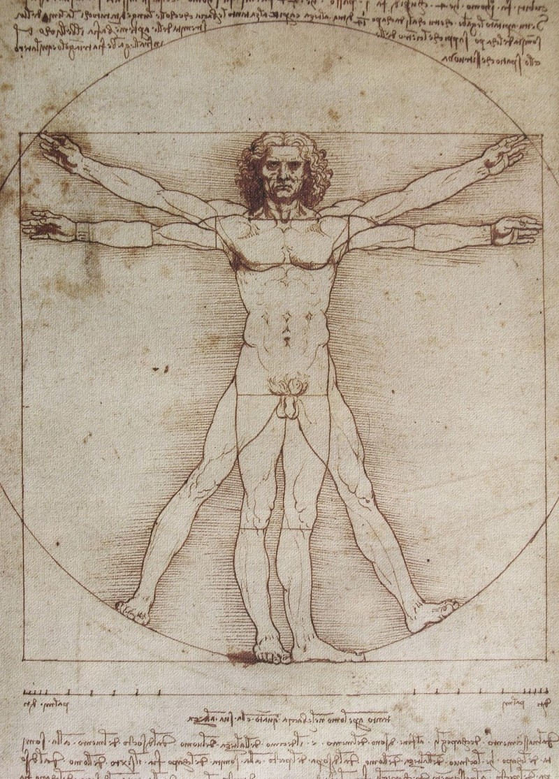 Leonardo Da Vinci's drawing of the Vitruvian man from 1492.,Image: 11804975, License: Royalty-free, Restrictions: , Model Release: no