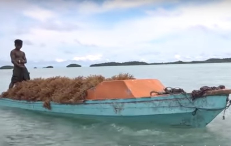 Cum a reușit o comunitate mică din Pacific să câștige lupta cu o companie minieră gigantică