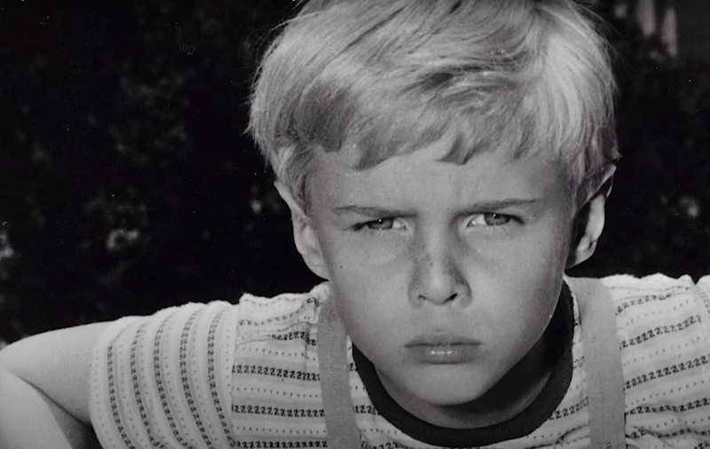 „Dennis, pericol public” a murit la 73 de ani. Jay North, actorul care l-a interpretat prima dată pe iubitul personaj, a mai jucat și în „Lassie”