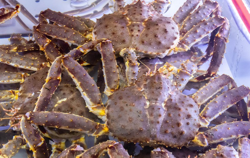 Autoritățile investighează dispariția unui miliard de crabi din apele statului Alaska. Populația de crustacee a scăzut cu 90% în doi ani