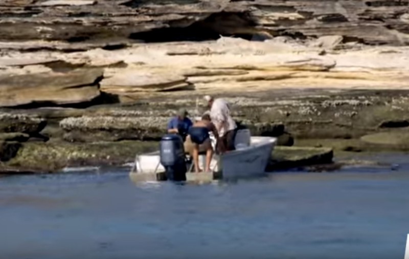 Incredibil! O echipă Animal Planet a găsit un bărbat pierdut pe o insulă pustie. De cât timp se afla acesta acolo | VIDEO