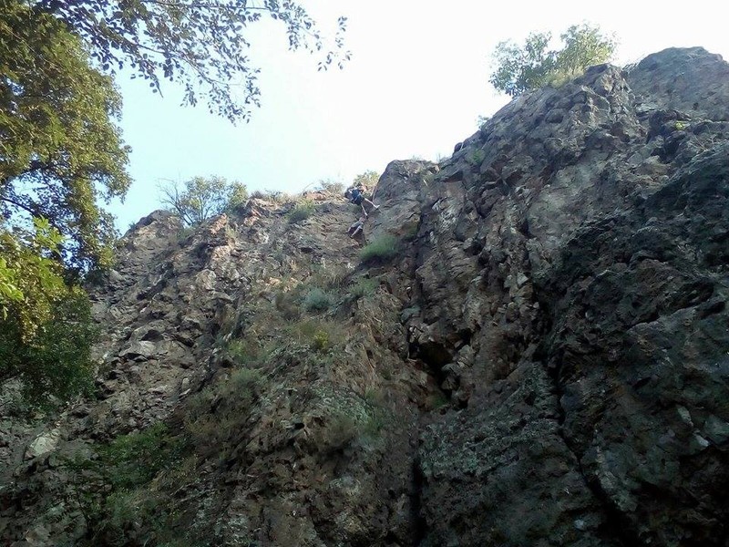 Arhiva foto