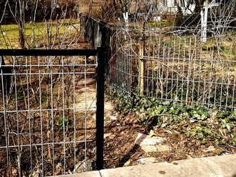 Gardul nou, cel din faţă, are avantajul că e vopsit faţă de gardul vechi, cel din spate