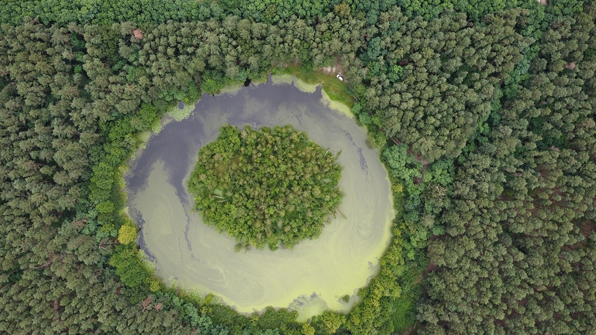 Lacul Zhuravlyne 