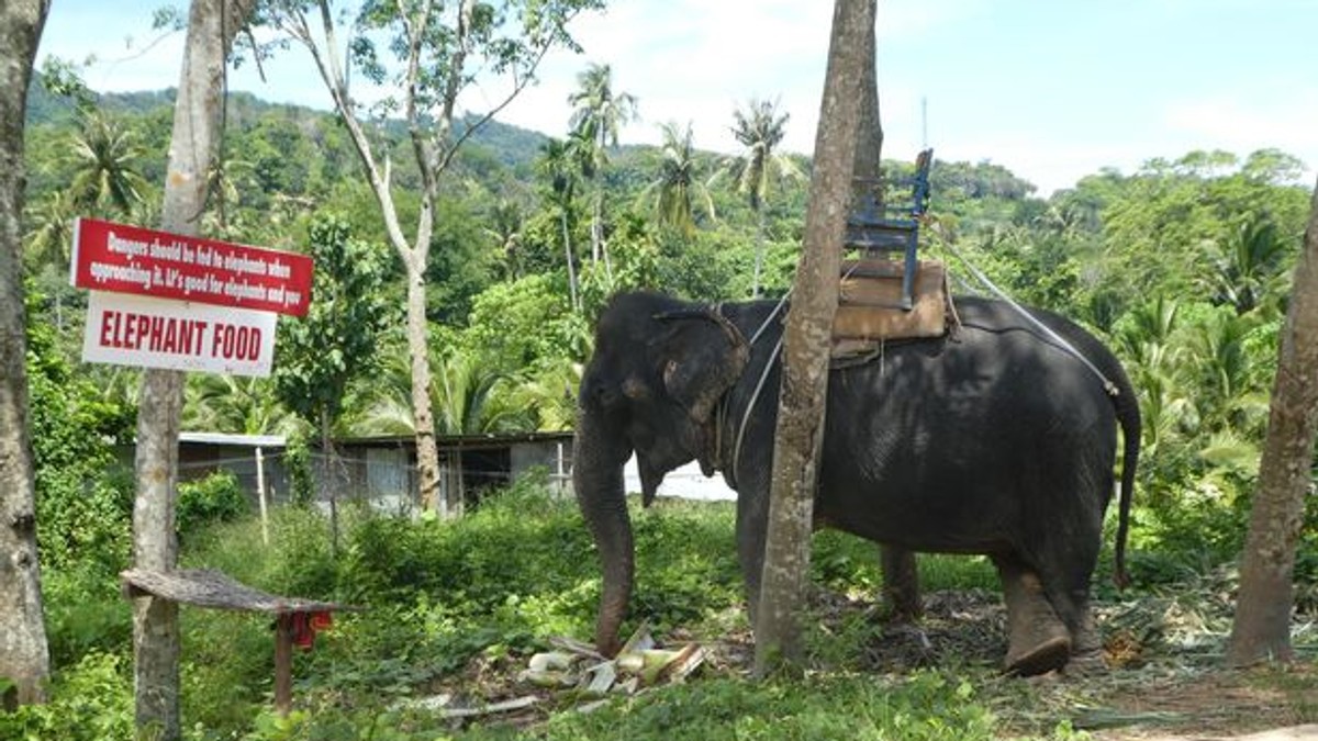 Arhiva foto