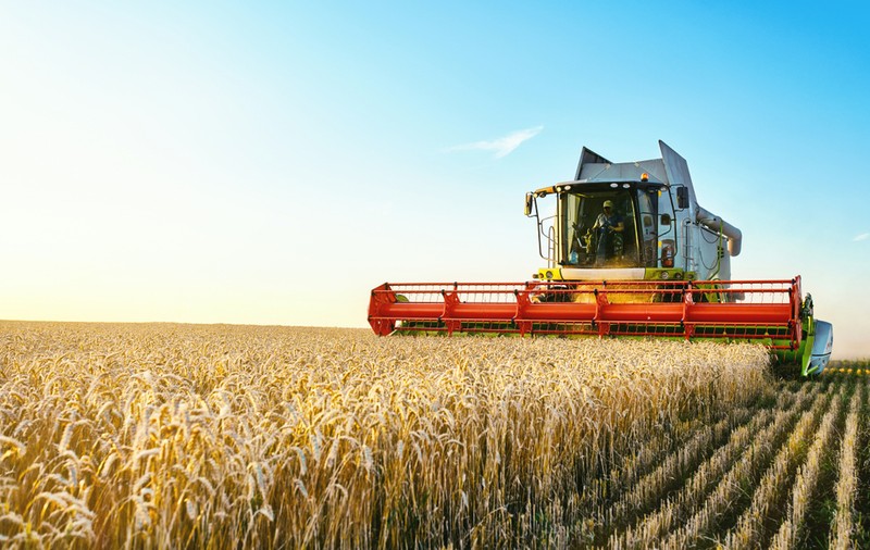 Măsurile PSD de susținere a agriculturii fac din România un lider european