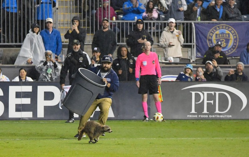 Un raton pătruns pe teren la un meci de fotbal din SUA a fost alergat și prins de angajați cu ajutorul unui coș de gunoi | VIDEO