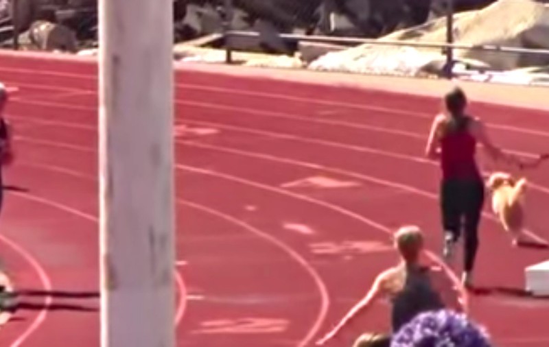 VIDEO | Momentul în care un cățel a intrat pe pistă la un concurs de atletism, ca să câștige