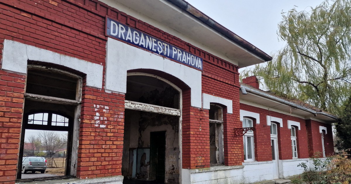 Arhiva foto