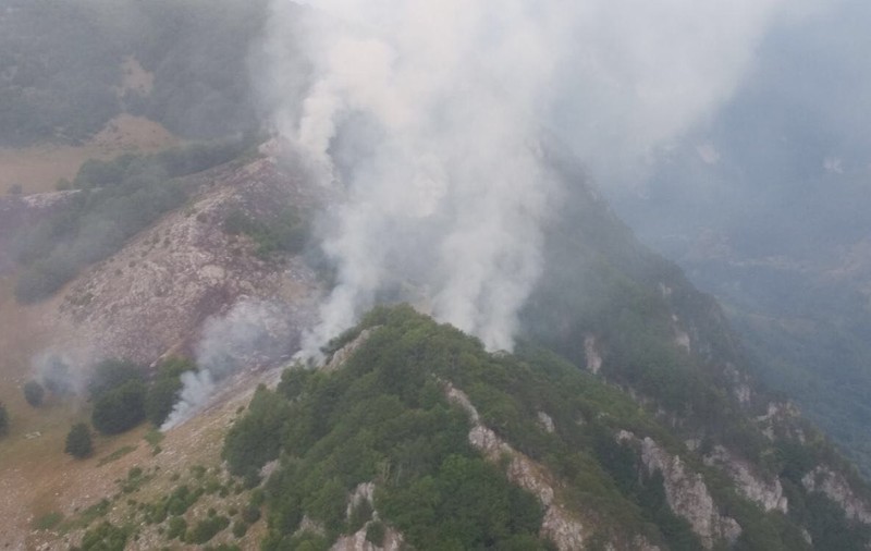 FOTO/ Incendiu de pădure în Mehedinți. 10 hectare de pin negru și vegetație uscată, mistuite de flăcări