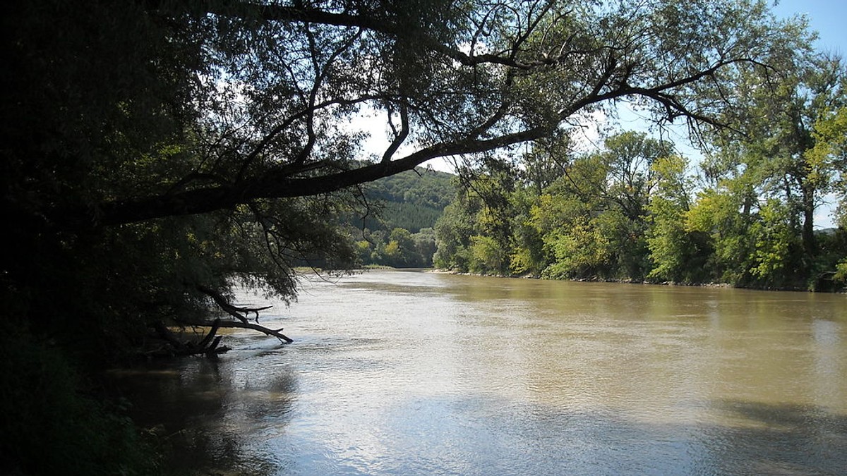 Arhiva foto