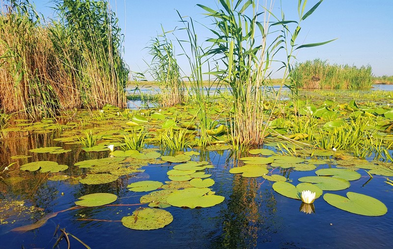 Vacanță de primăvară în Delta Dunării, colțul de paradis al României (PUBLICITATE)