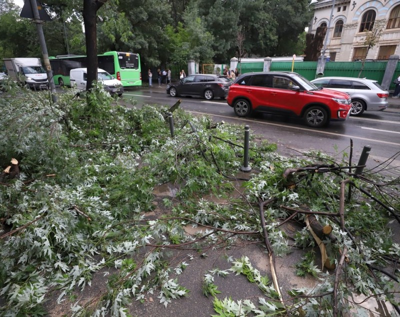Bilanț negru al potopului în București și Ilfov: 1.000 de copaci căzuți, sute de case inundate, 456 de mașini distruse. Stația Piața Victoriei 2 rămâne închisă