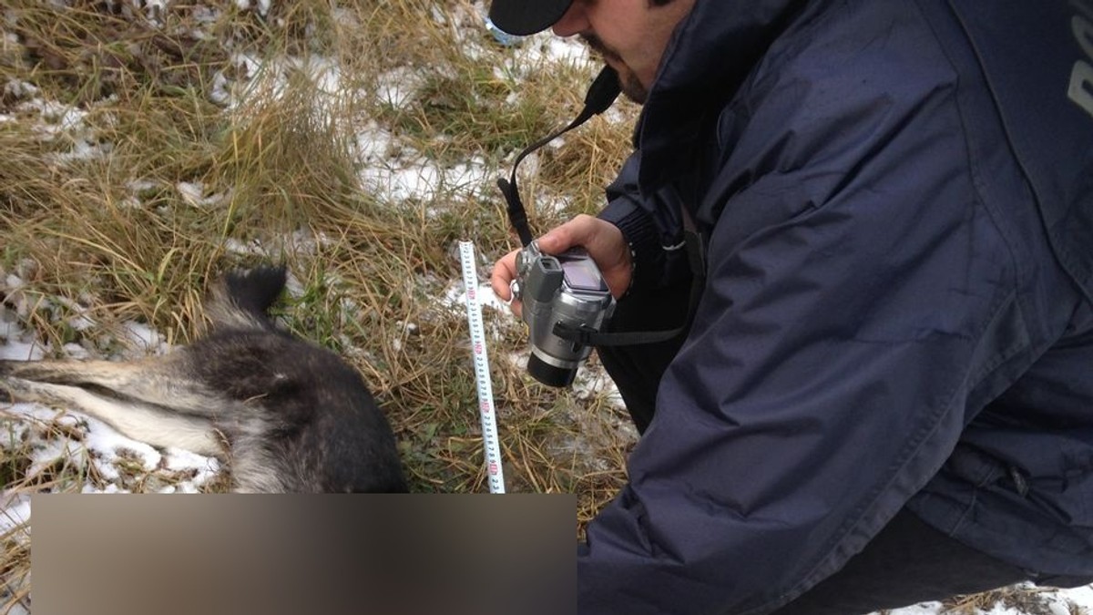 Arhiva foto