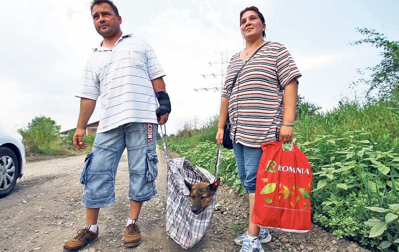 Au cărat CÂINELE 12 km în sacoşă