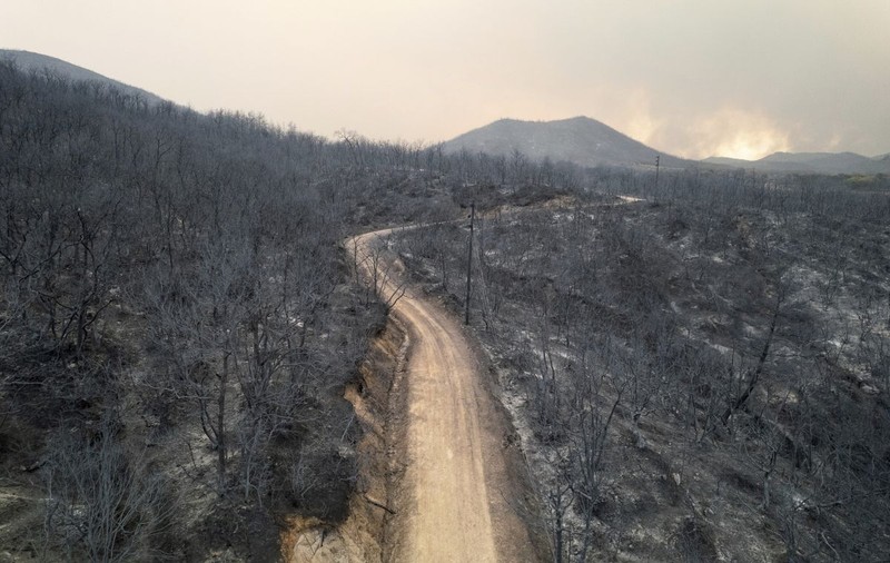 FOTO | Imaginea dezastrului produs de incendiul din Evros, Grecia: ce a văzut satelitul Copernicus, al UE