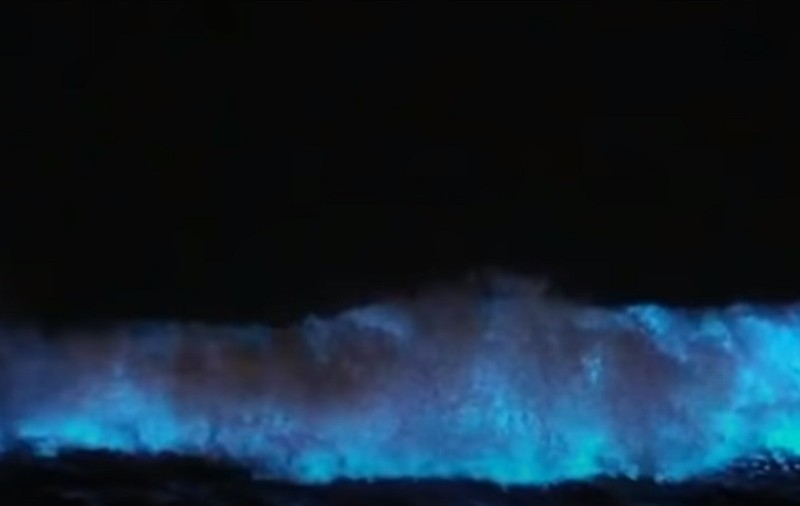 VIDEO | Fenomen rar în SUA. Valurile de pe coastele Californiei au devenit luminescente
