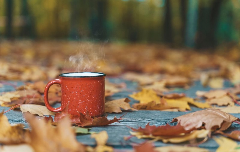Prognoza meteo pentru următoarele patru săptămâni. Temperaturile vor fi mai scăzute decât în mod normal