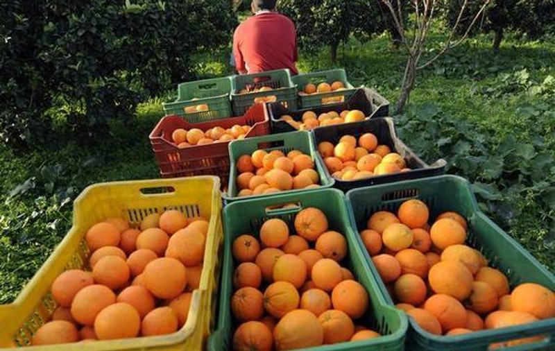 Rata şomajului a atins cote record în Spania