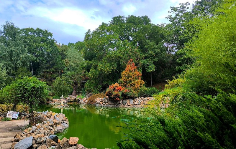 Grădina Botanică din Galați va avea o seră de plante exotice. Palmierii vor putea fi admirați de la 20 de metri înălțime