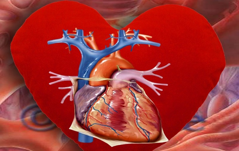 Persoanele cu fibrilaţie atrială, de cinci ori mai predispuse riscului de accident vascular cerebral